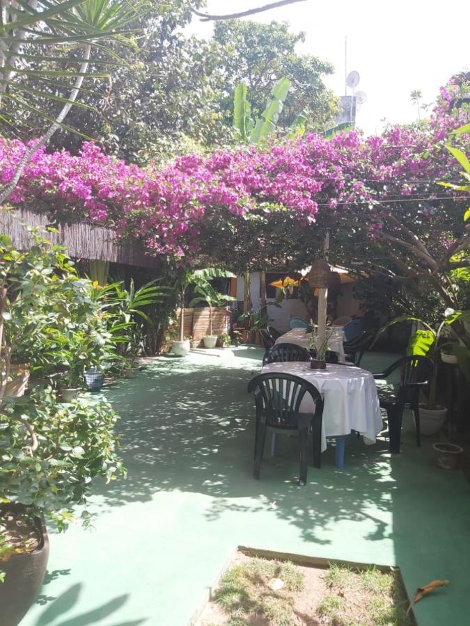 Pousada Terra Do Sol Pipa Praia de Pipa Exterior foto